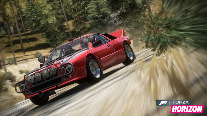 Forza Horizon Rally